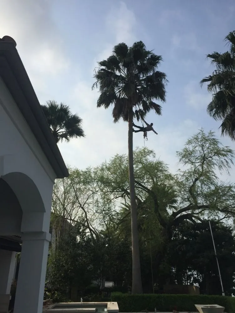 Custom outdoor landscaping with custom design in Kyle, TX by Ray and Sons Landscaping