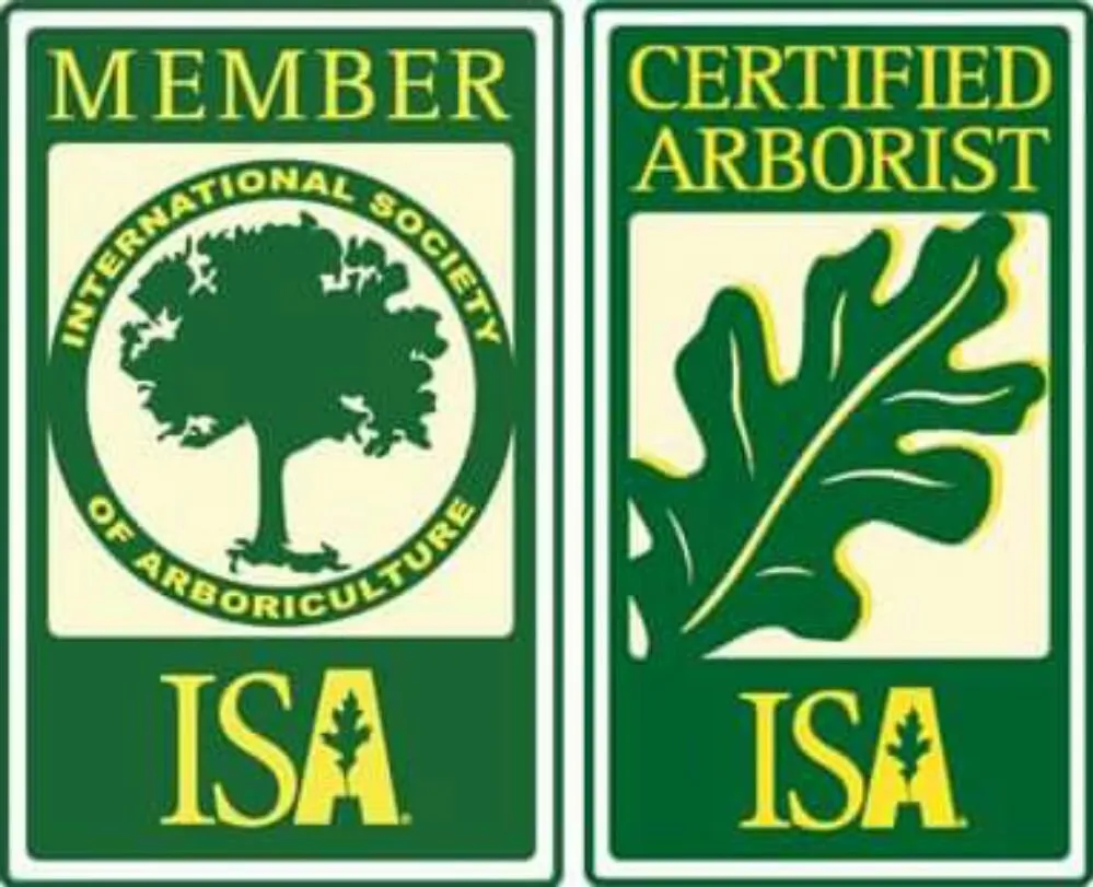 Affordable yard maintenance in Kyle, TX by Ray and Sons Landscaping