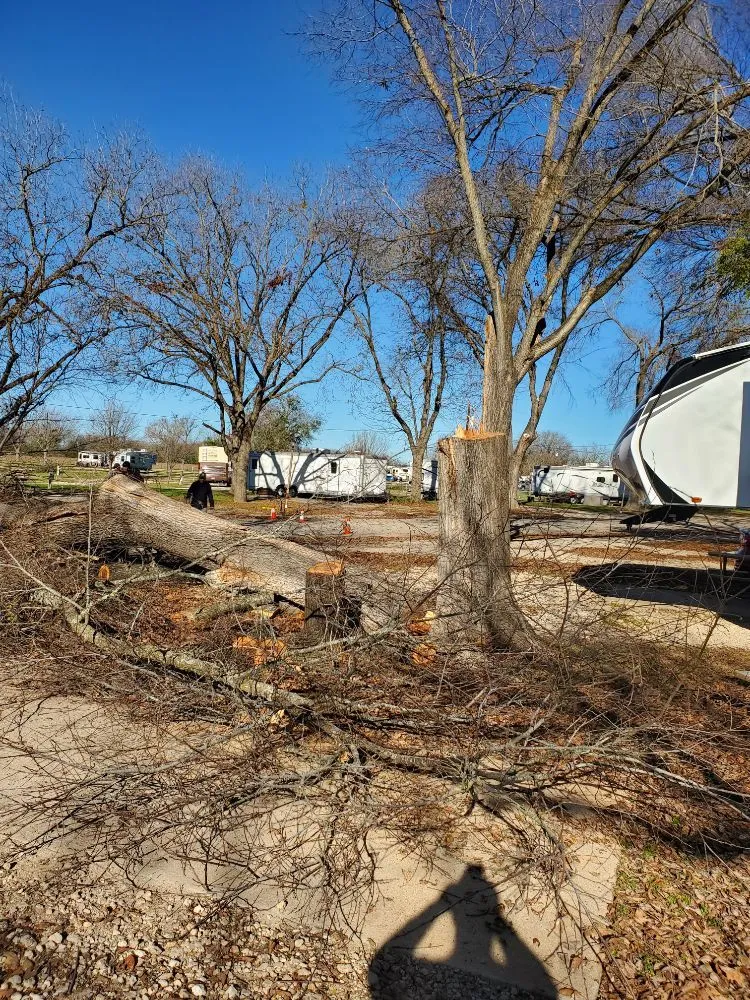 Local yard cleanup service for residential properties in Kyle, TX by Ray and Sons Landscaping
