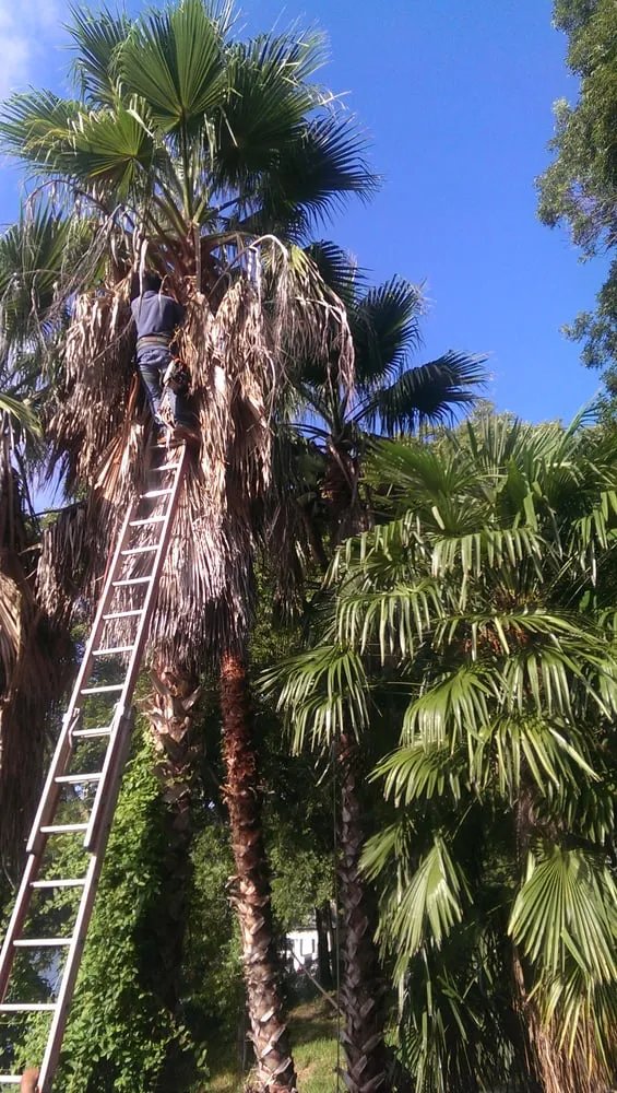 Top-rated landscape installation experts serving Kyle, TX - Ray and Sons Landscaping