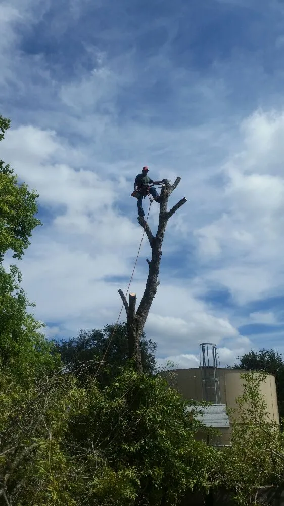 Professional residential landscaping experts serving Kyle, TX - Ray and Sons Landscaping