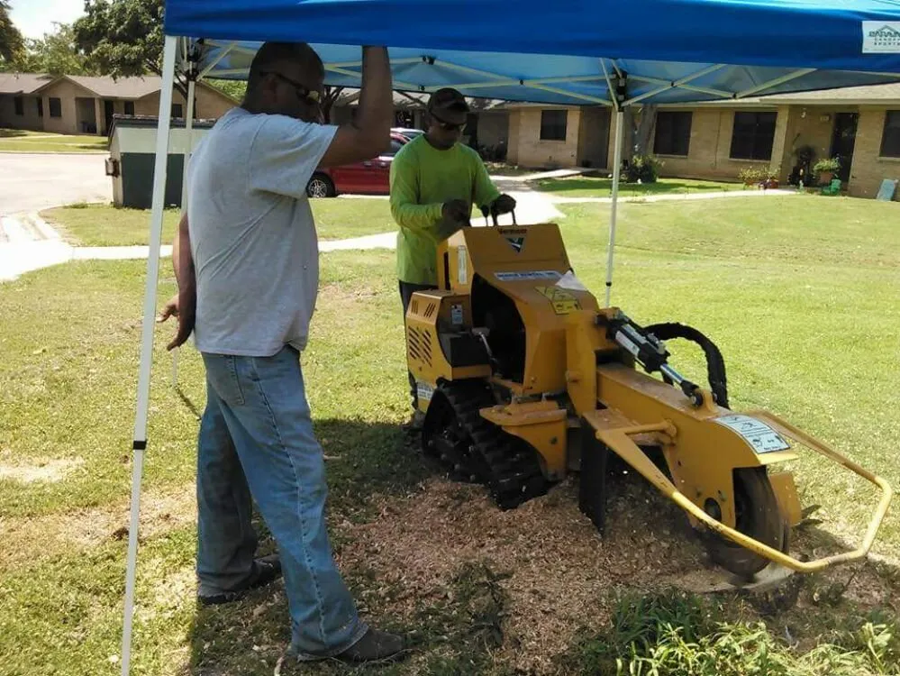 Affordable yard cleanup service in Kyle, TX by Ray and Sons Landscaping