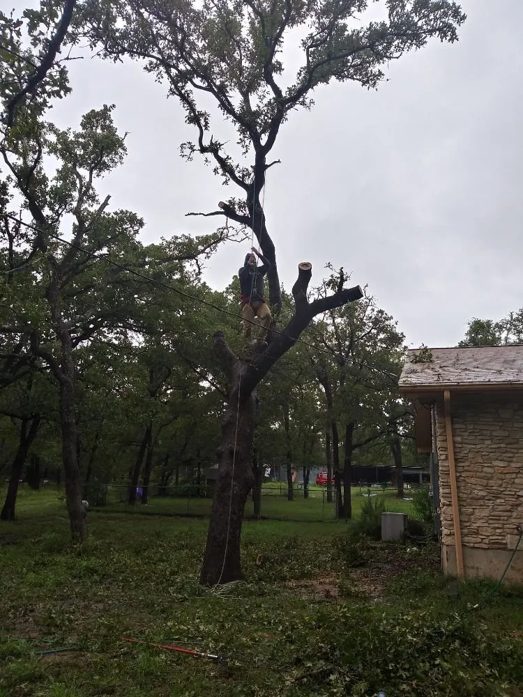 Custom outdoor landscaping in Kyle, TX - Ray and Sons Landscaping