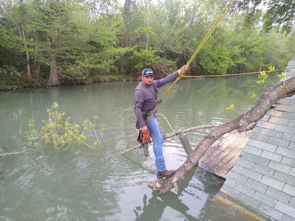 Local landscape design for outdoor upgrades in Kyle, TX by Ray and Sons Landscaping