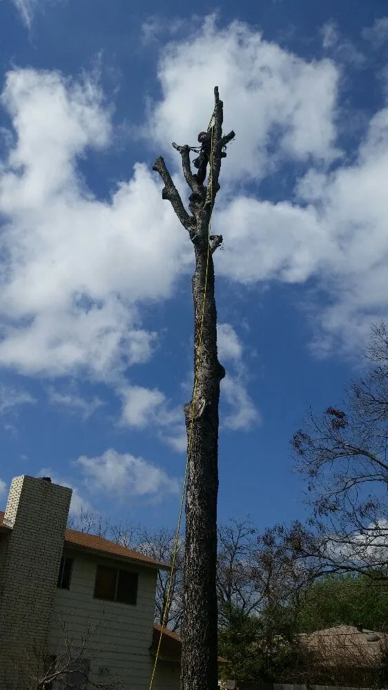 Professional residential landscaping for homes across Kyle, TX - Ray and Sons Landscaping