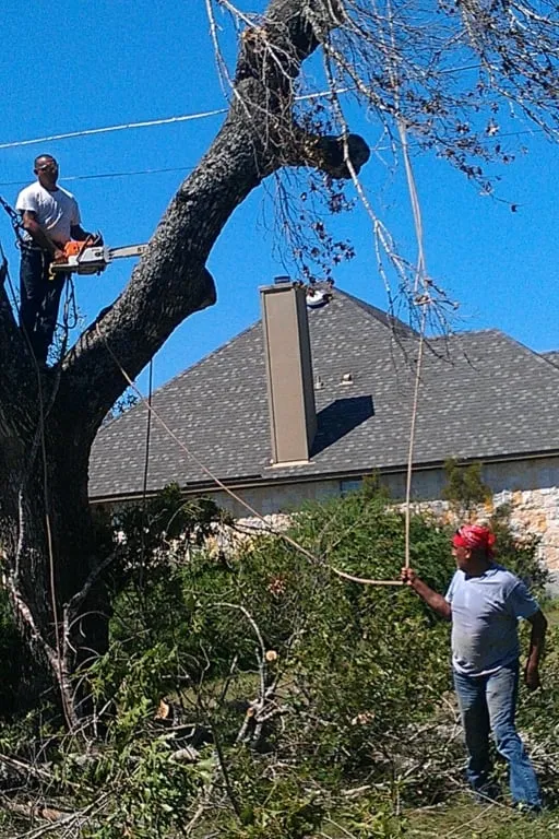 Professional landscape design for outdoor upgrades across Kyle, TX - Ray and Sons Landscaping