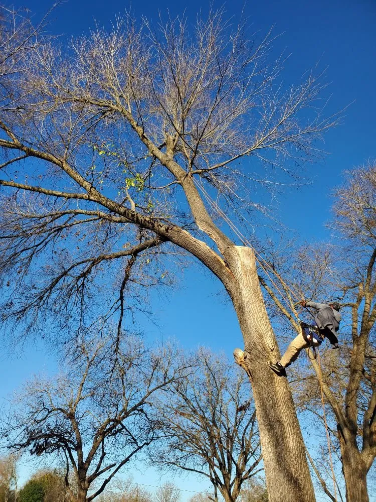 Professional garden landscaping in Kyle, TX by Ray and Sons Landscaping