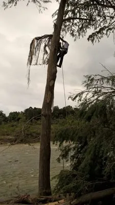 Ray and Sons Landscaping