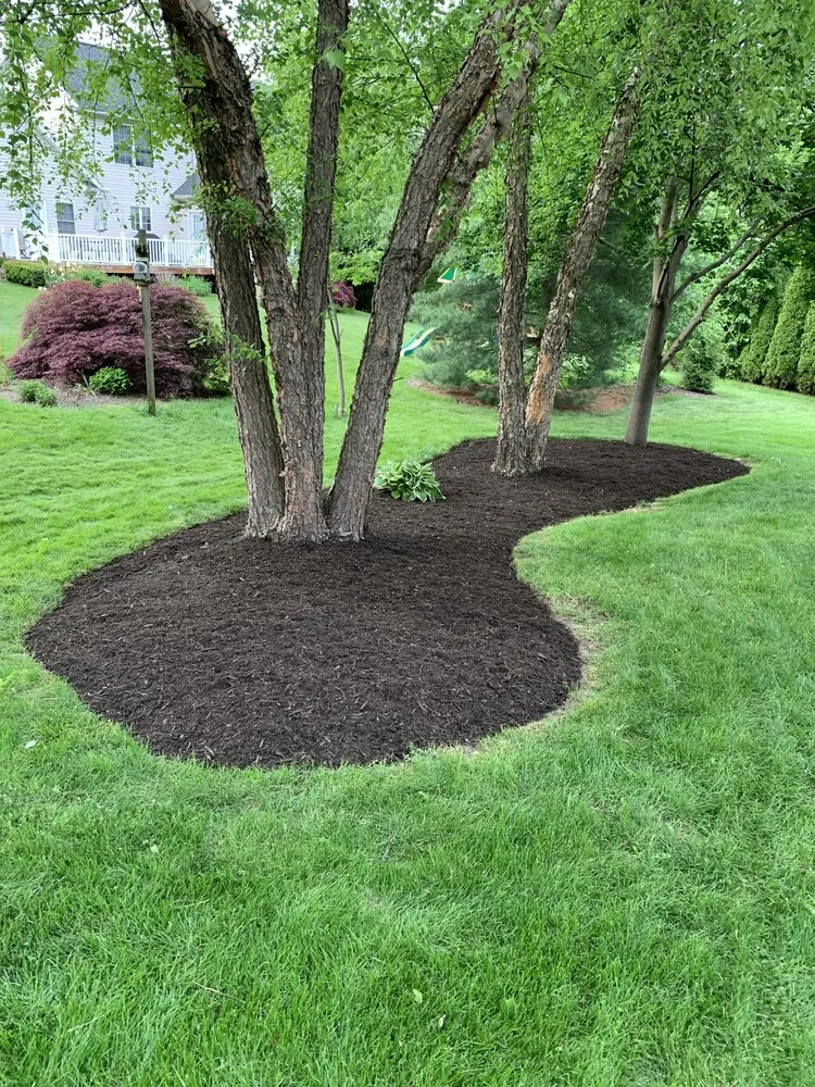 Custom lawn care service in North Canton, OH by Ray Bros Landscaping
