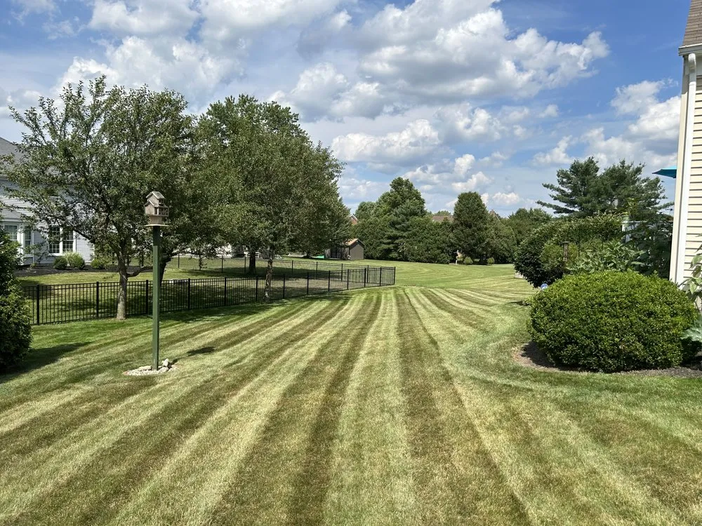 Trusted yard cleanup service in North Canton, OH by Ray Bros Landscaping