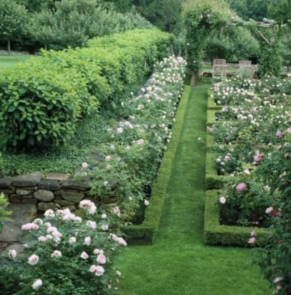 Trusted lawn mowing service for outdoor upgrades across Pittston, PA - Ray Cut your Grass