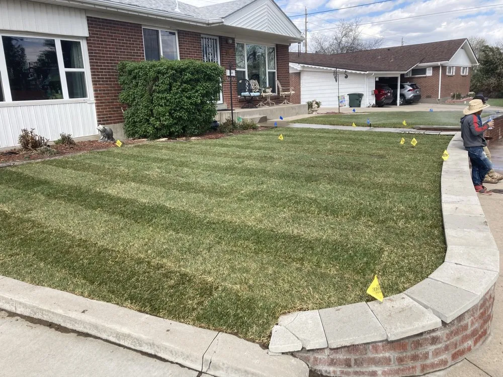 Reliable yard maintenance for year-round maintenance across Denver, CO - Ray Landscaping & Lawn Service