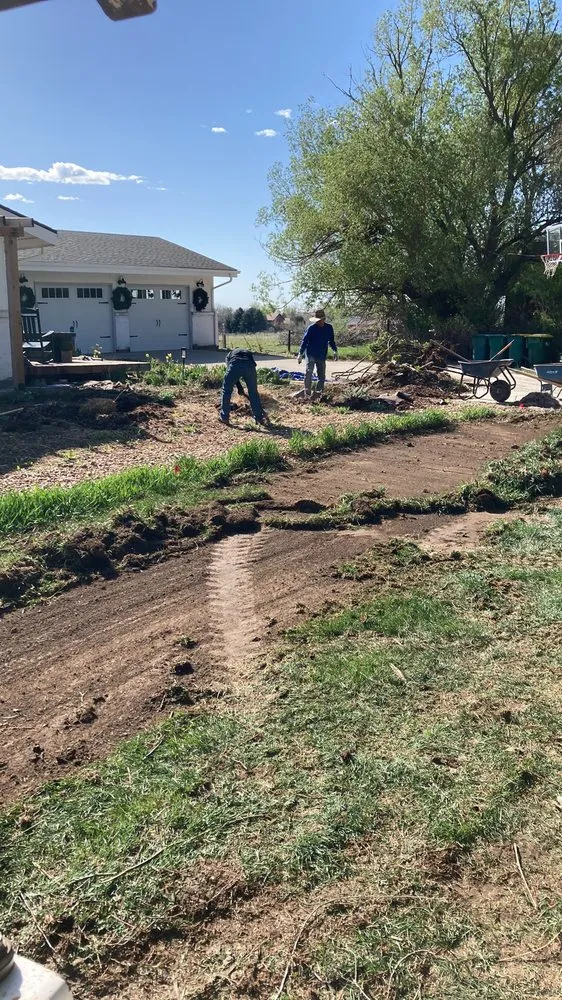 Professional yard maintenance in Denver, CO - Ray Landscaping & Lawn Service