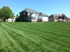 Reliable outdoor landscaping for year-round maintenance in Ooltewah, TN by Ray Lawns