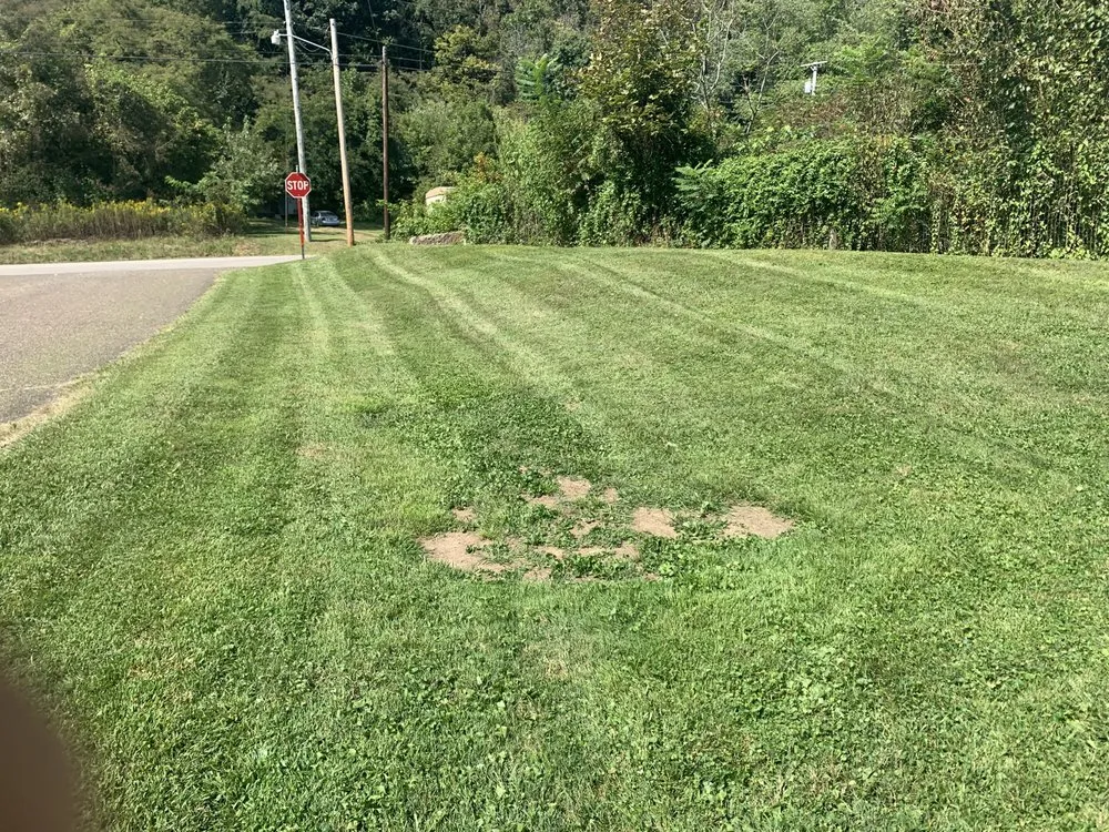 Top-rated lawn care service experts serving West Portsmouth, OH - Ray Lawnscaping