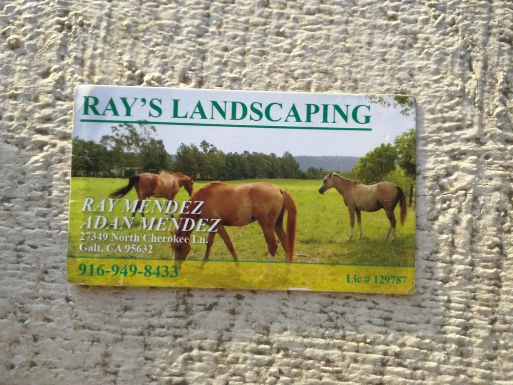 Trusted yard cleanup service in Galt, CA - Ray Mendez and Adan Mendez