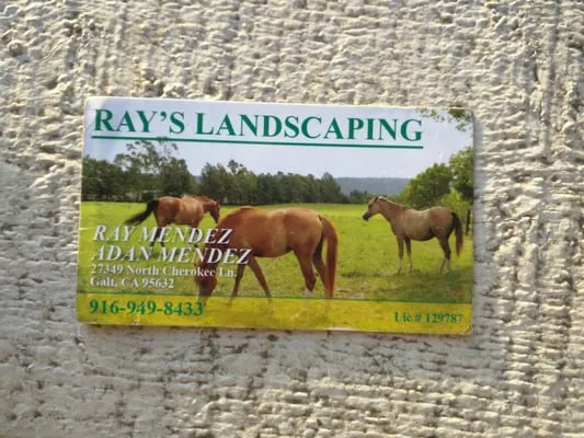 Ray Mendez and Adan Mendez