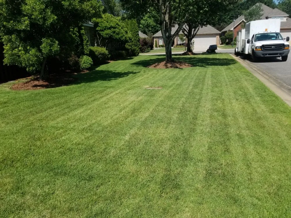 Affordable yard cleanup service with custom design in Tuscaloosa, AL by Ray of Hope Properties