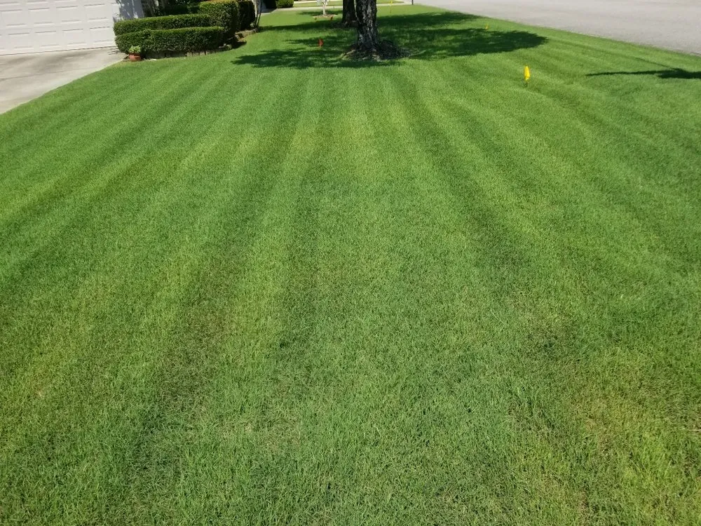 Reliable landscape design for homes in Tuscaloosa, AL by Ray of Hope Properties