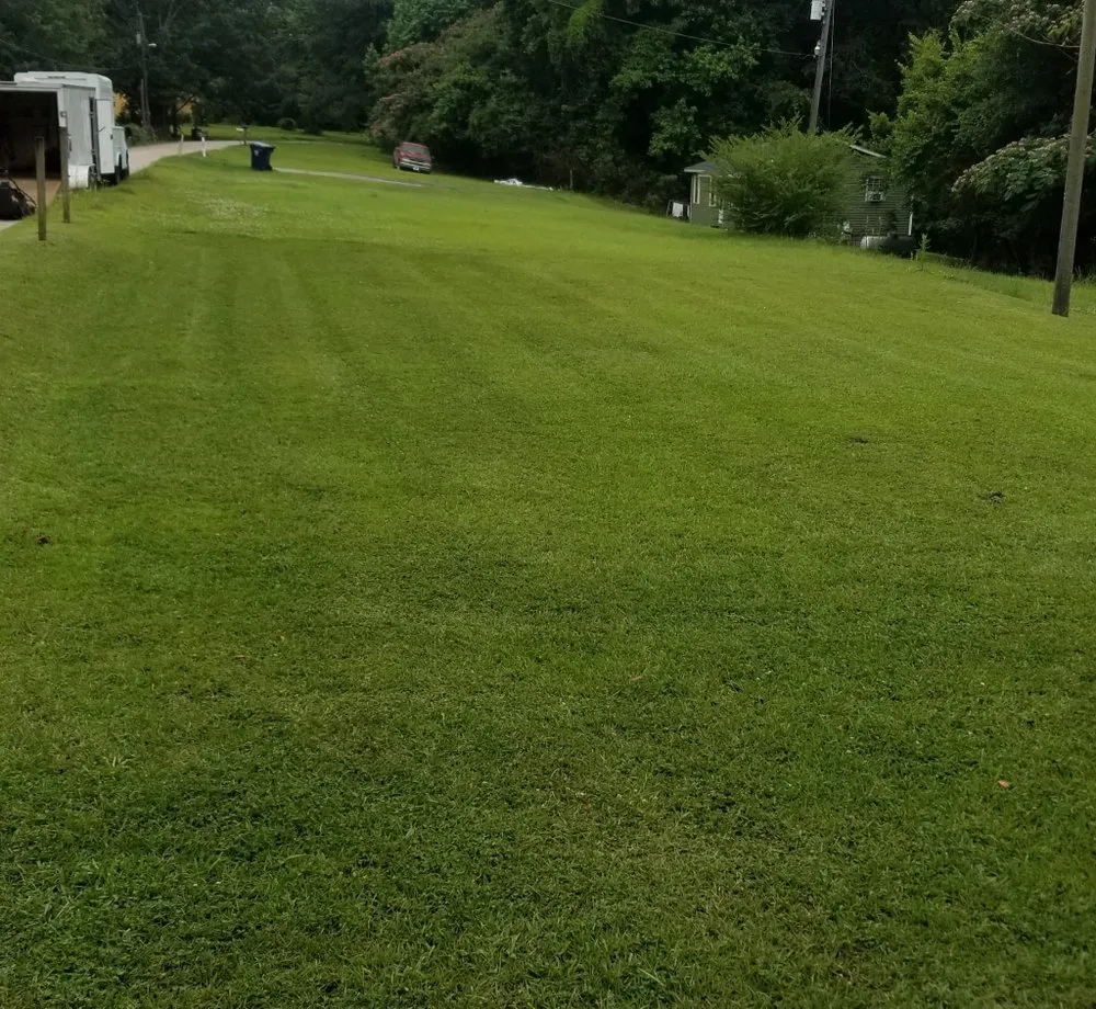 Trusted garden landscaping for outdoor upgrades across Tuscaloosa, AL - Ray of Hope Properties