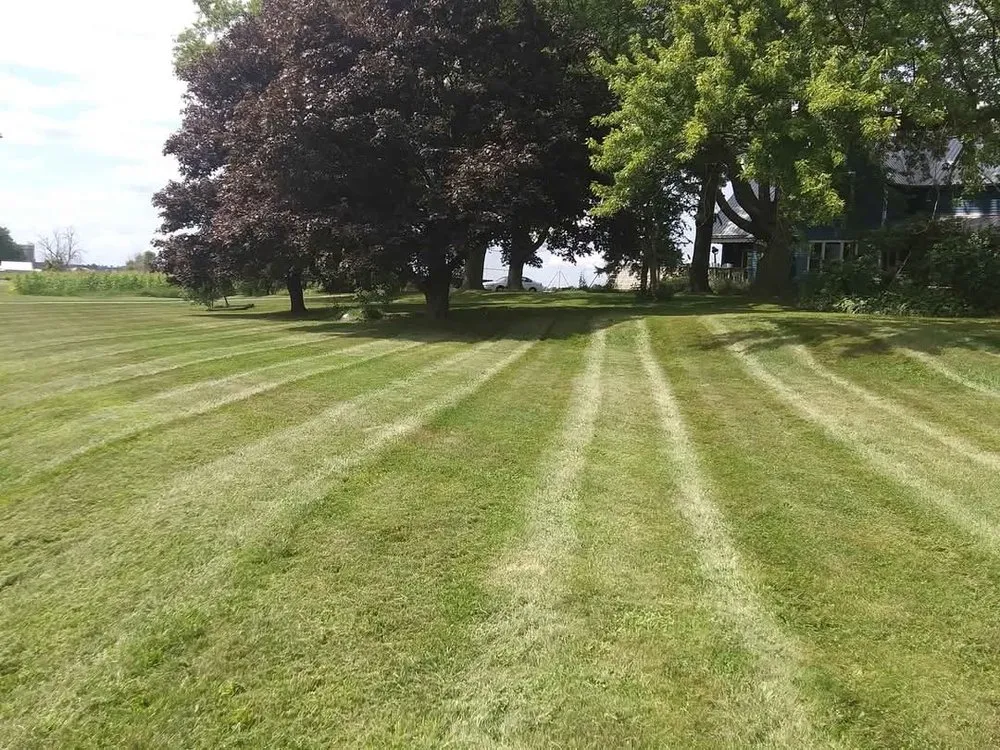 Expert outdoor landscaping experts serving Westby, WI - Ray Outdoor Services