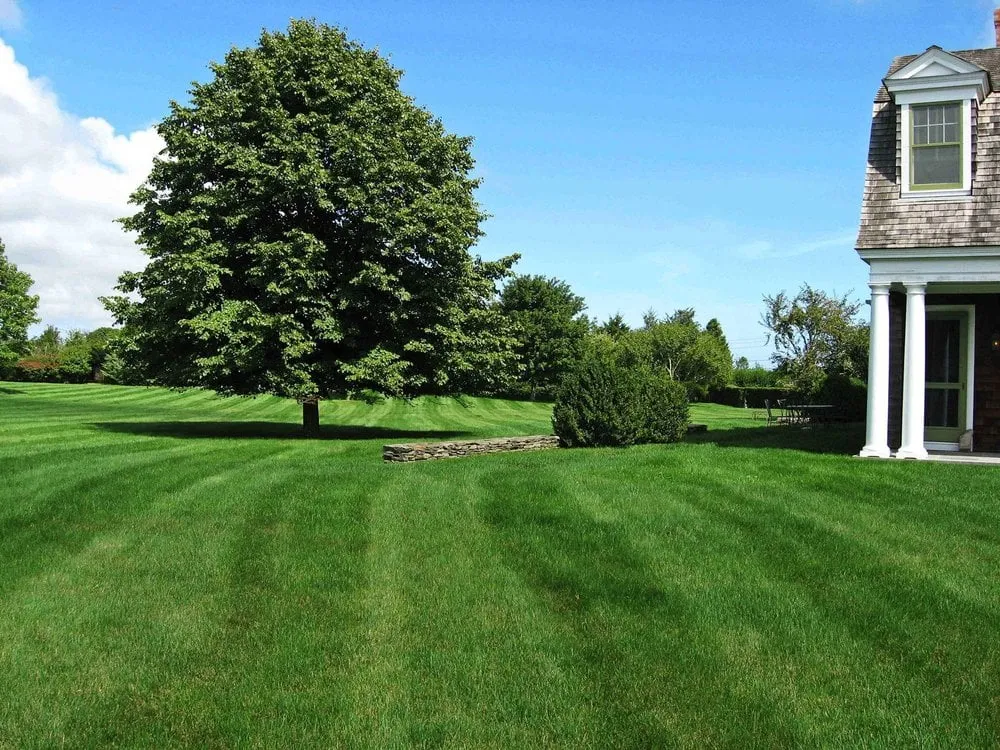 Custom landscape design experts serving Southampton, NY - Ray Smith & Associates