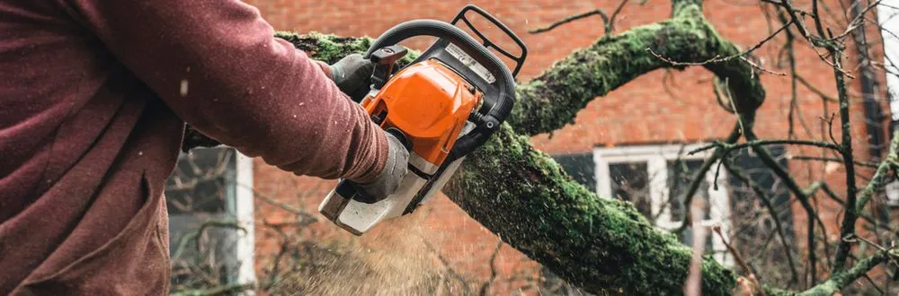 Trusted outdoor landscaping for outdoor upgrades across Hartford, CT - Ray The Tree Guy