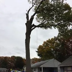 Top-rated lawn mowing service in Hartford, CT - Ray The Tree Guy