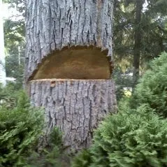 Local landscaping services for residential properties across Hartford, CT - Ray The Tree Guy