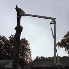 Top-rated lawn mowing service experts serving Hartford, CT - Ray The Tree Guy