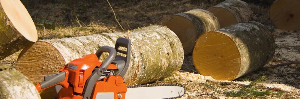 Local residential landscaping in Hartford, CT - Ray The Tree Guy