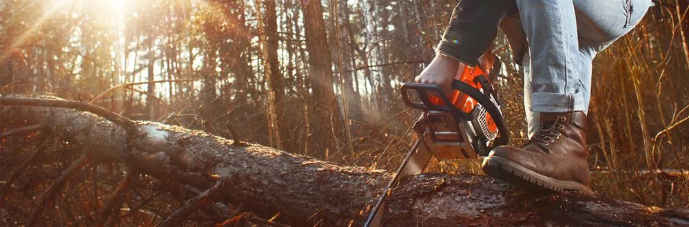 Reliable lawn care service for year-round maintenance in Hartford, CT by Ray The Tree Guy