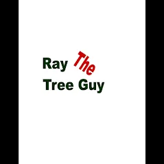 Custom landscaping services in Hartford, CT - Ray The Tree Guy