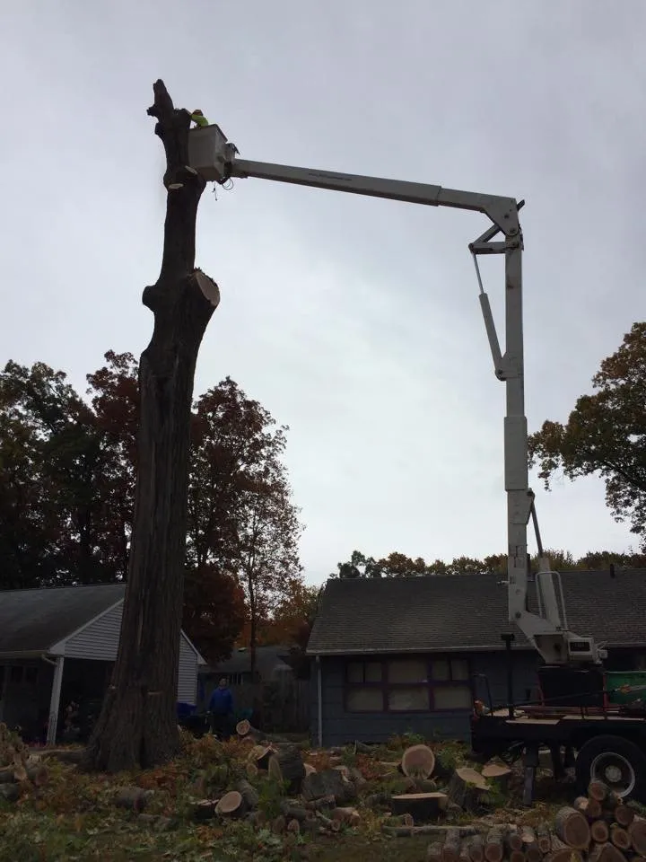 Professional outdoor landscaping with custom design across Stafford Springs, CT - Ray The Tree Guy