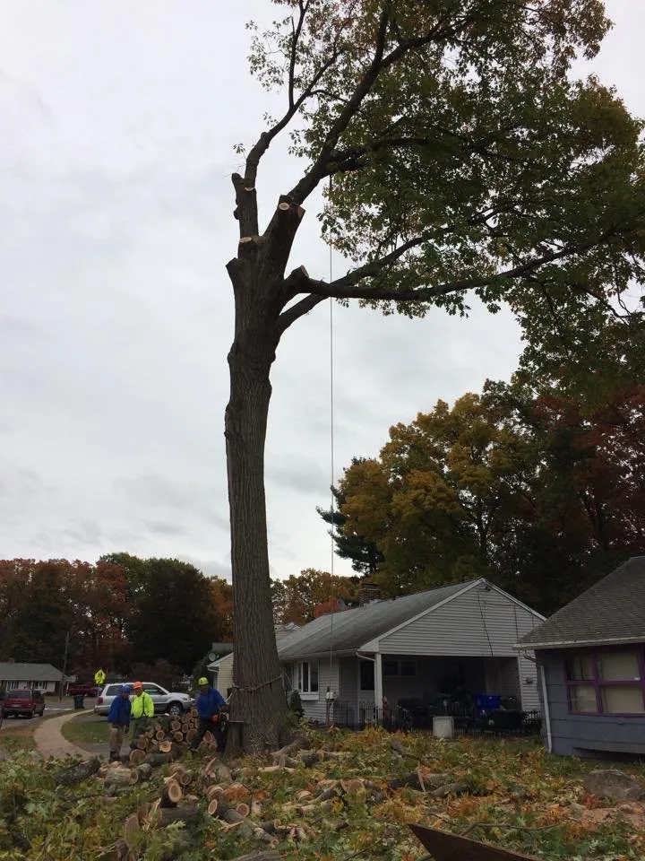 Professional residential landscaping for homes across Stafford Springs, CT - Ray The Tree Guy