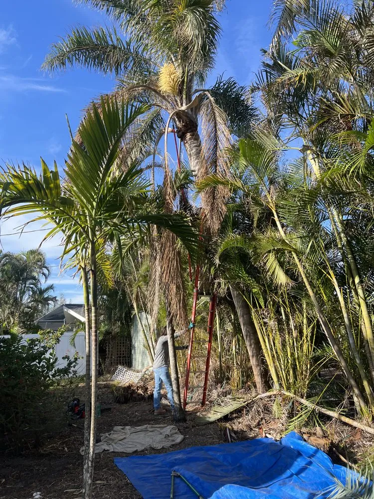 Reliable landscape installation in Rotonda West, FL - Ray Tippins Tree Service & Landscaping