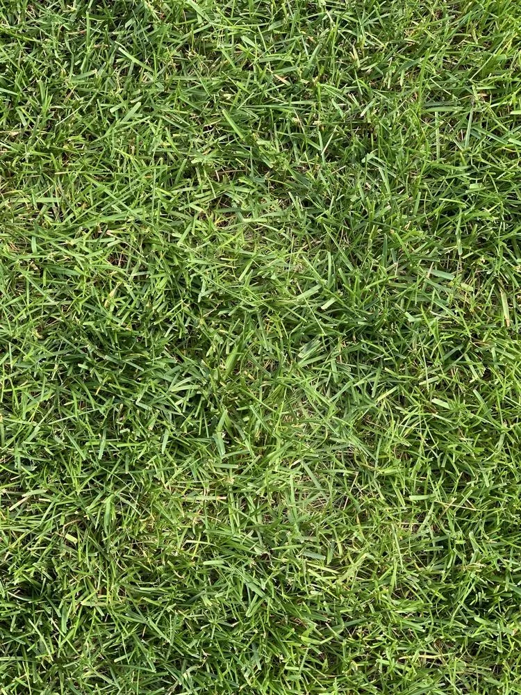 Trusted garden landscaping in Mead, WA by Ray Turf Farms