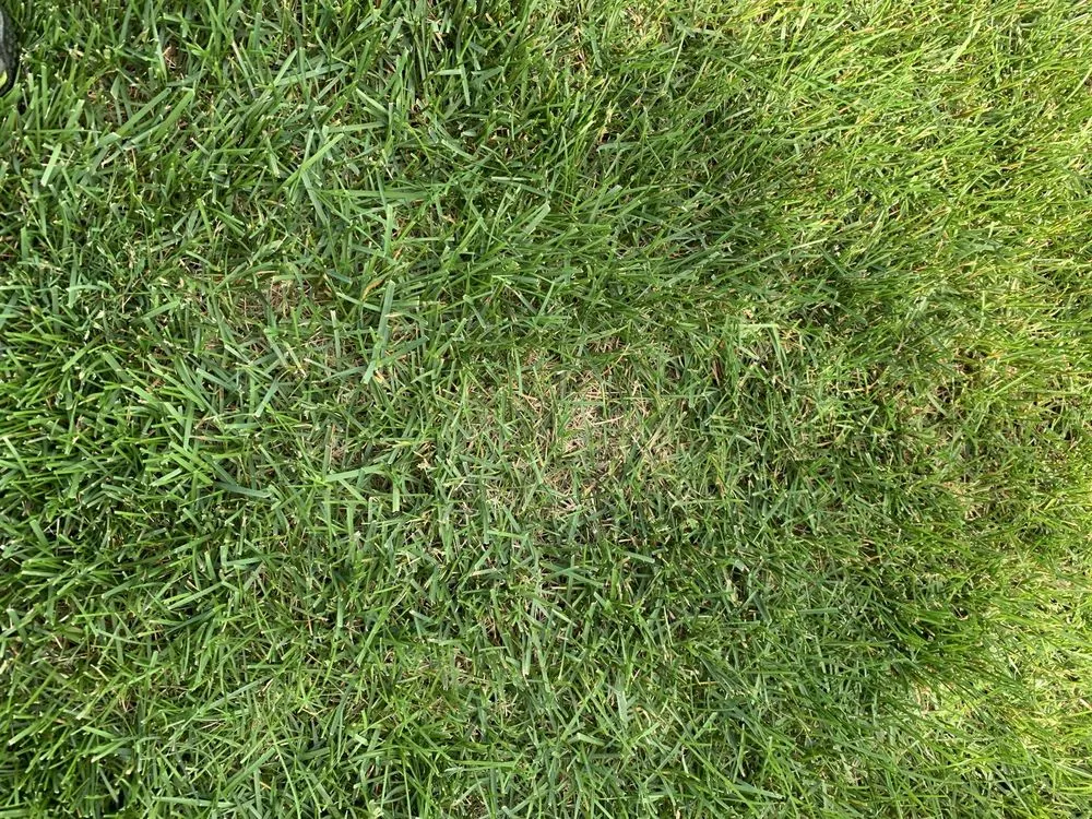 Local residential landscaping experts serving Mead, WA - Ray Turf Farms