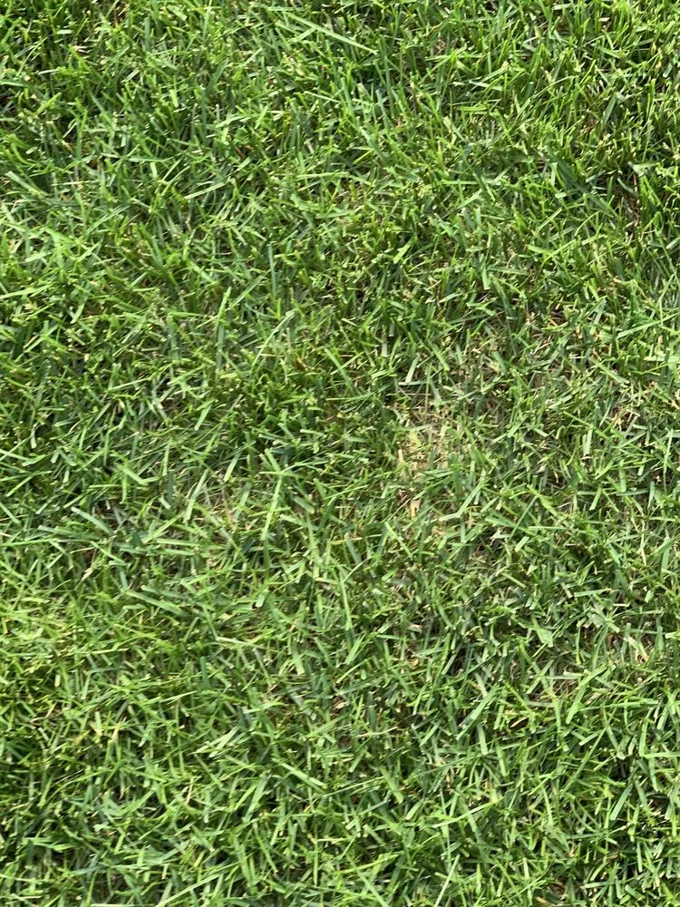 Affordable landscape installation in Mead, WA by Ray Turf Farms