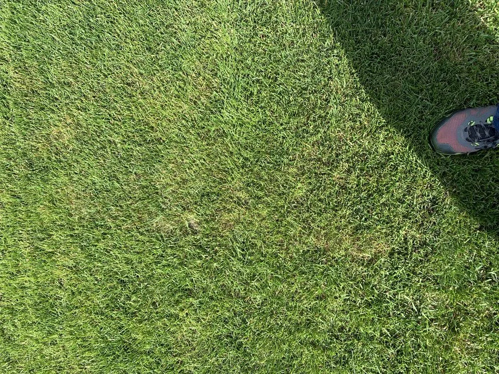 Reliable residential landscaping in Mead, WA - Ray Turf Farms