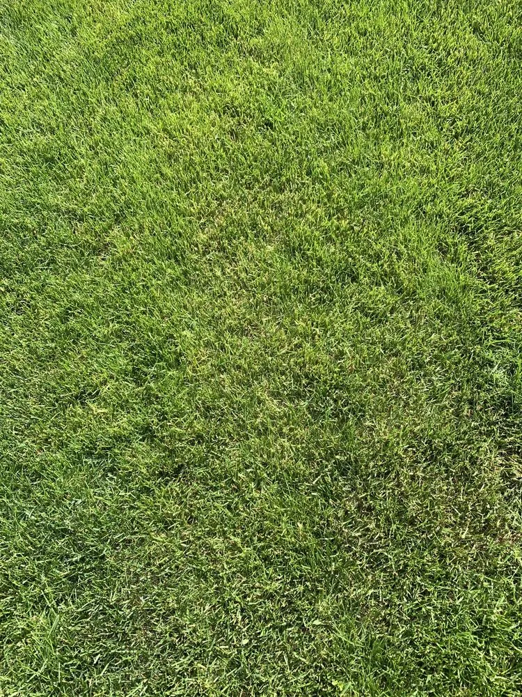 Custom garden landscaping in Mead, WA by Ray Turf Farms