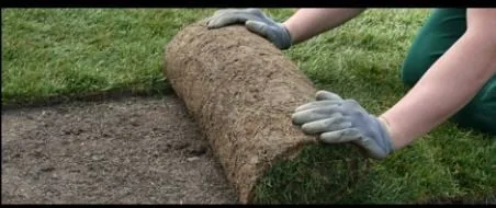 Affordable landscape design for homes in Mead, WA by Ray Turf Farms