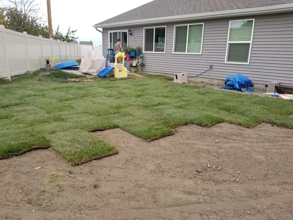 Local lawn care service for beautiful yards across Mead, WA - Ray Turf Farms