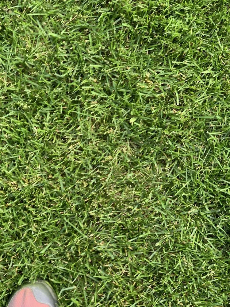 Trusted landscaping services in Mead, WA - Ray Turf Farms