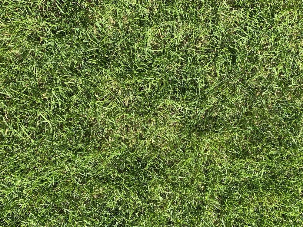 Affordable residential landscaping for homes in Mead, WA by Ray Turf Farms