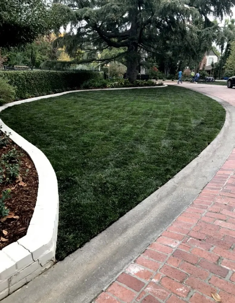 Custom landscape installation for beautiful yards across Sacramento, CA - Raya’s Landscaping
