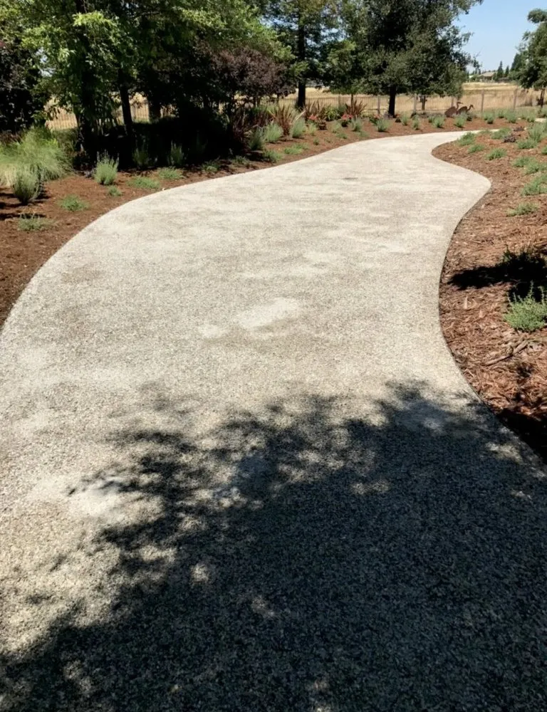Custom yard cleanup service in Sacramento, CA - Raya’s Landscaping