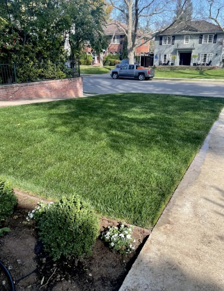 Top-rated garden landscaping near you across Sacramento, CA - Raya’s Landscaping