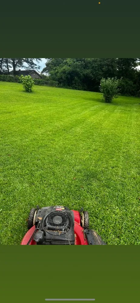 Affordable yard maintenance for year-round maintenance across Thomaston, GA - Rayburn Outdoor Management