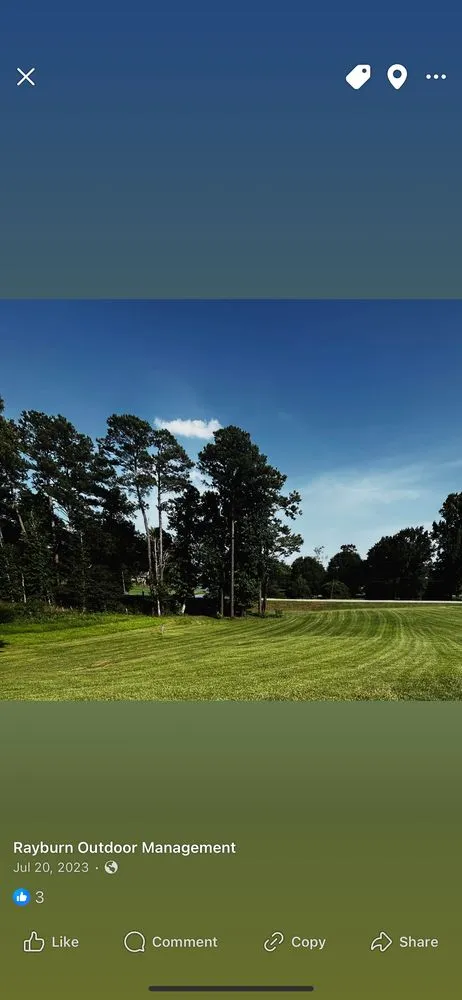 Custom landscaping services for year-round maintenance across Thomaston, GA - Rayburn Outdoor Management